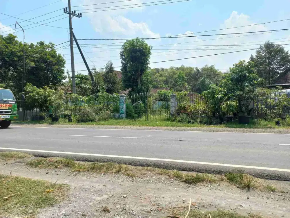 jual murah tanah pekarangan bagus untuk gudang ,usaha + rumah hunian Di Ngoro Jombang Harga di bawah NJOP