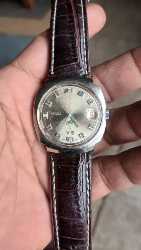 Pagol V5 Index sapphire Manual