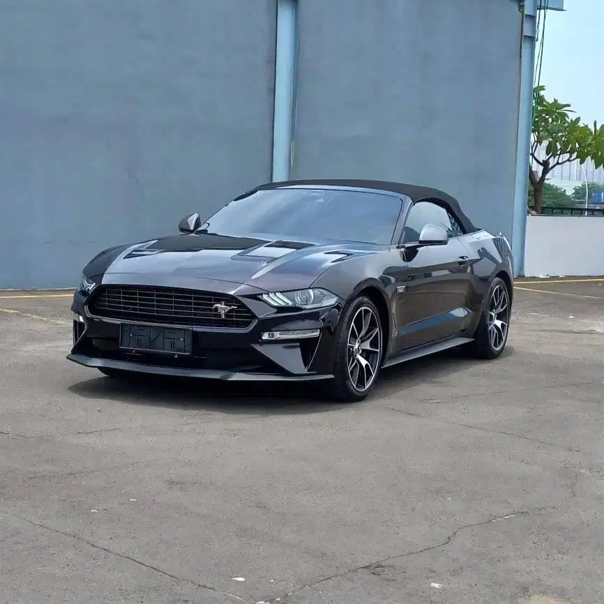 2022 Ford Mustang Convertible 2.3 Ecoboost High Performance Cabriolet