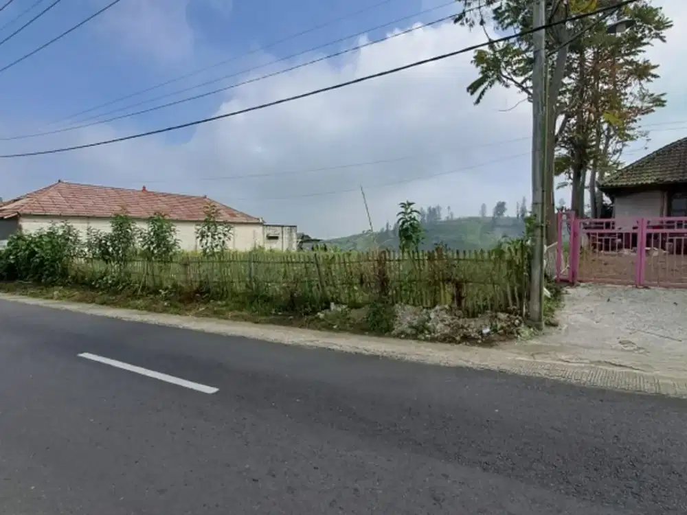 UPDATE HARGA DIJUAL Tanah Kebun di Gubuk Klakah arah G. Bromo, Malang