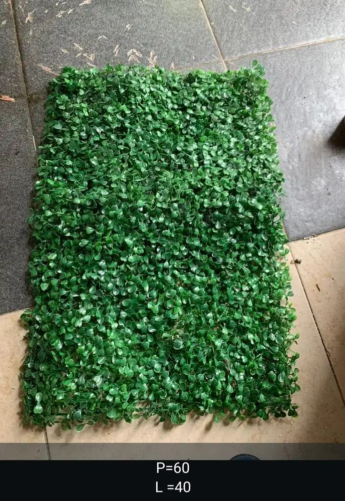 Rumput Dolar Sintetis/Rumput Dinding