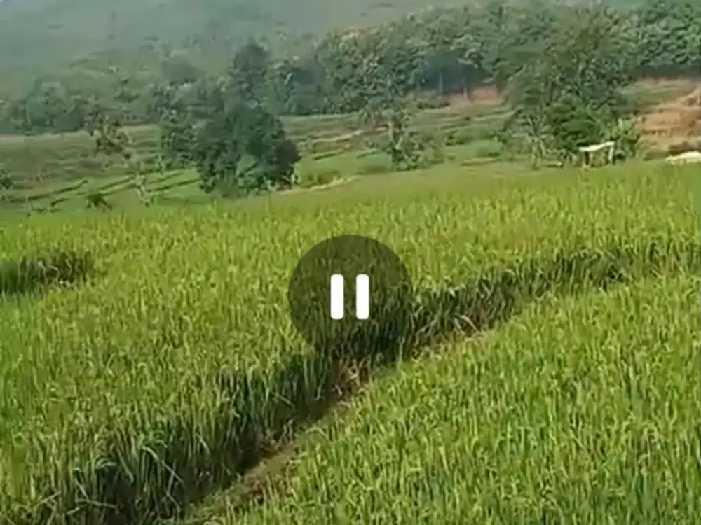 Dijual tanah murah BU strategis dekat wisata pegunungan Pacet, Mojokerto