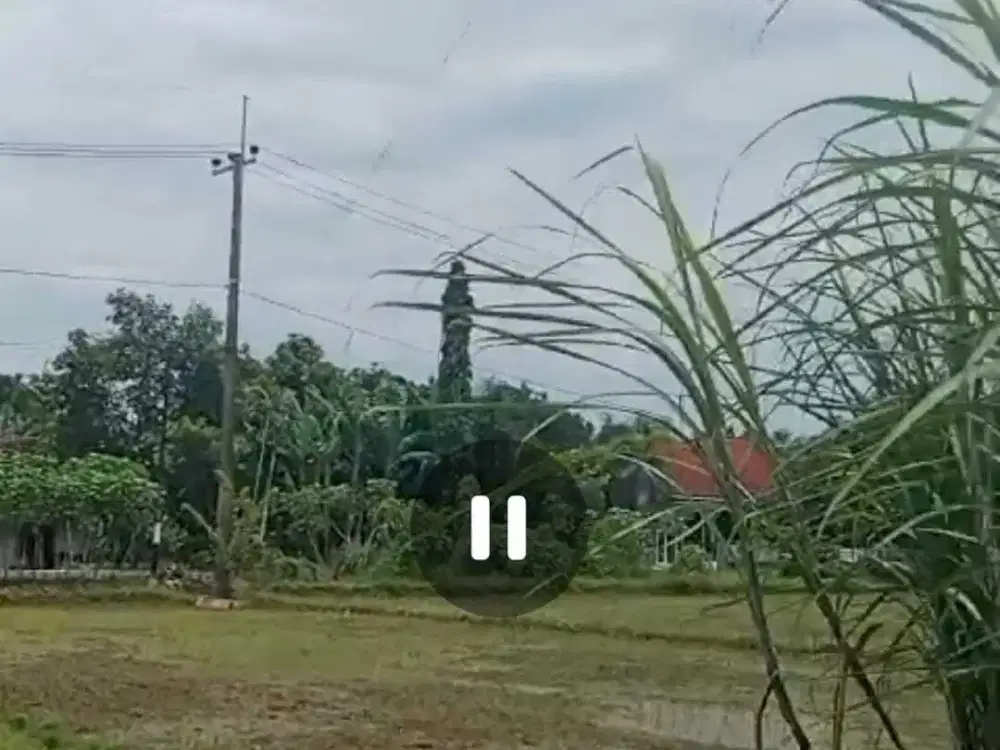 Dijual tanah untuk usaha, perumahan nol jalan Mojowarno, Jombang