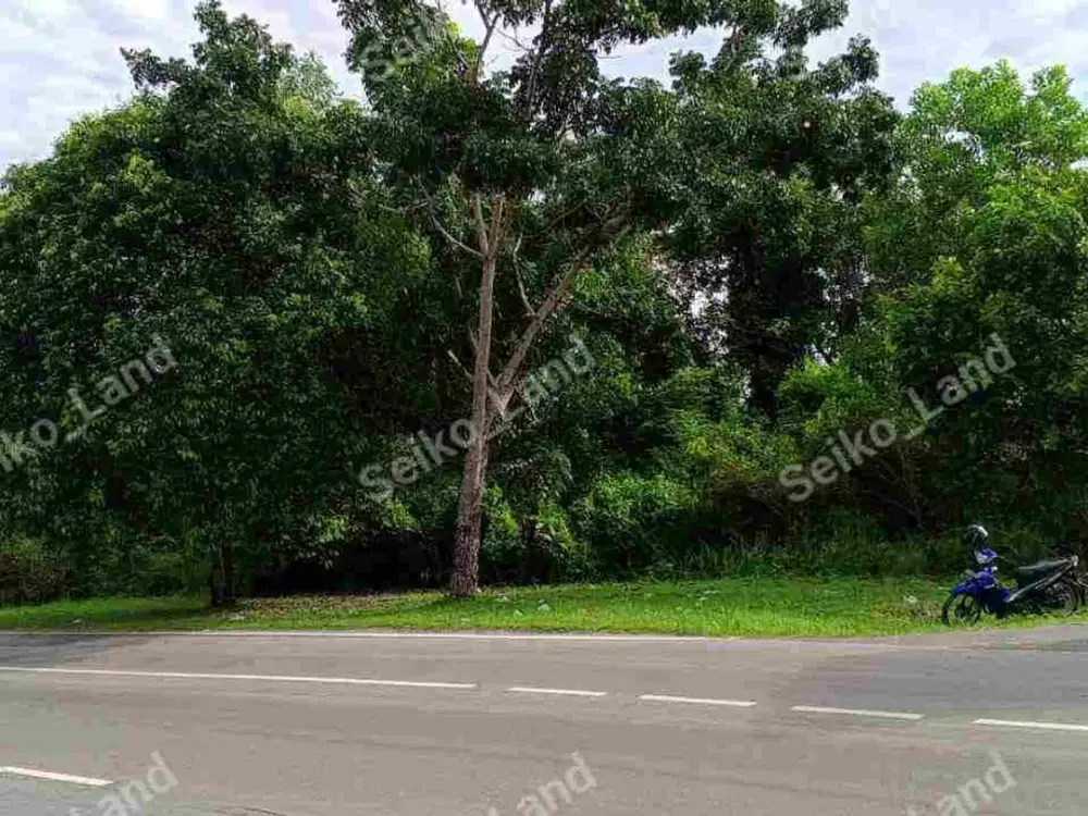 Di Jual Tanah Murah Lokasi Strategis Di Jl. Perkantoran Gubernur, Kel.Air Itam, Kec. Bukit Intan, Kota Pangkalpinang - Bangka Belitung