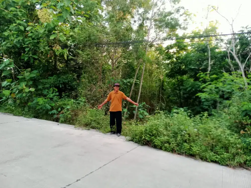 Jual tanah mangku jln.corblok  di Bantul