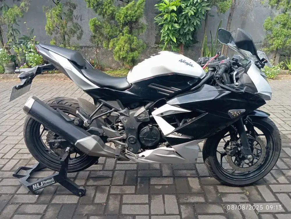 Kawasaki Ninja 250 RR Mono
