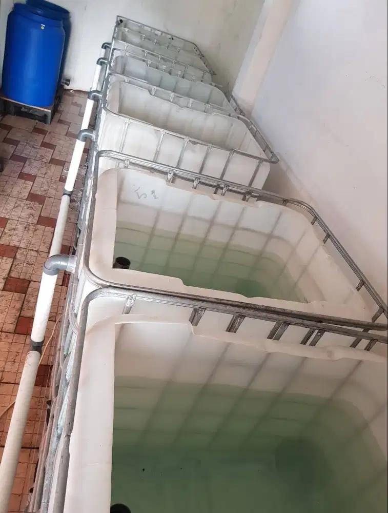 Kempu Tangki Toren Tank Budidaya Ikan Lele Lobster