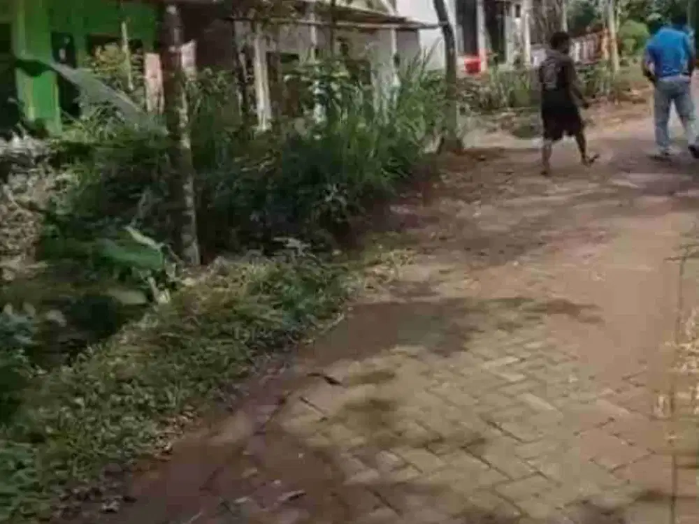 Tanah Kebun Durian Dan Kopi Produktif di Sumberpitu Tutur Nongkojajar Pasuruan