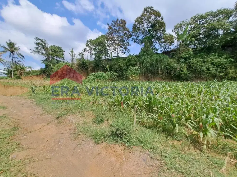 Cari Tanah di Malang Timur? Ini Lokasinya Dekat Pasar & Taman Edukasi, Harga Nego Langsung Pemilik