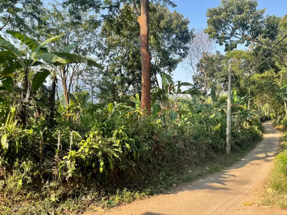 Dijual tanah milik pribadi langsung pemilik