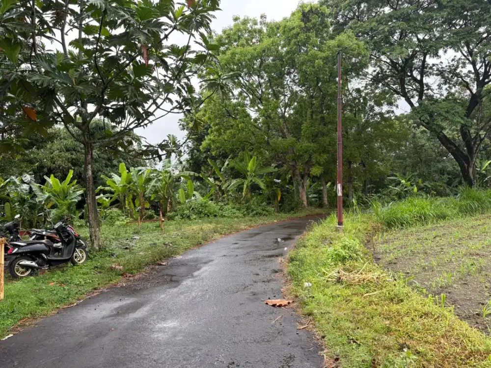 Palagan; Kawasan Asri dan Prospektif; Siap Bangun