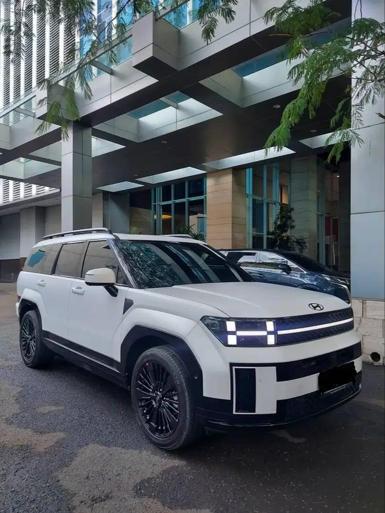 Hyundai santa fe (2025)