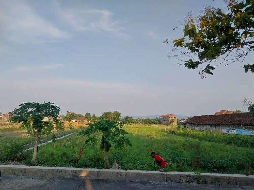 Jual Sawah Sewon Bantul