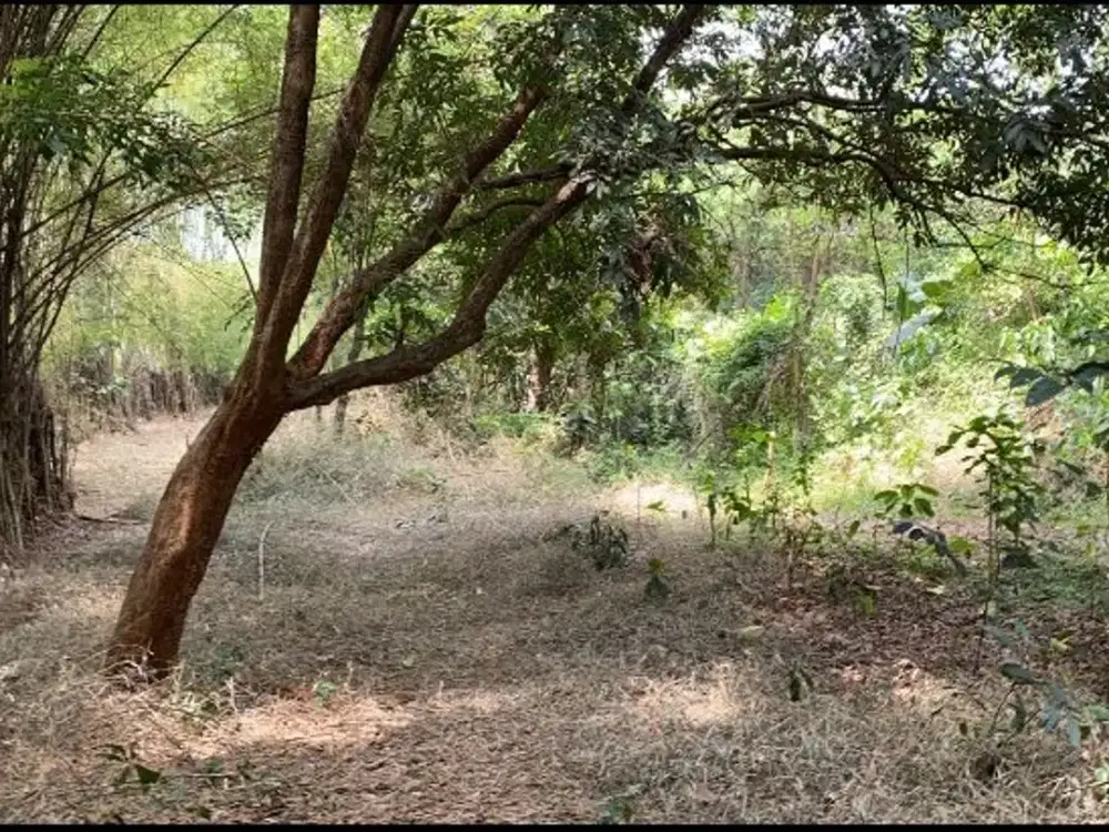 dijual Tanah Kavling di Perumahan Bappenas Cinangka Depok.