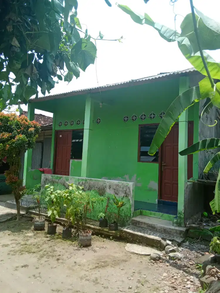 Rumah disewakan