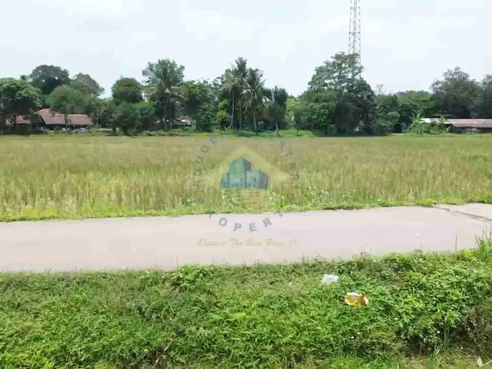 Dijual Tanah Di Kadu Agung, Tigaraksa, Tangerang