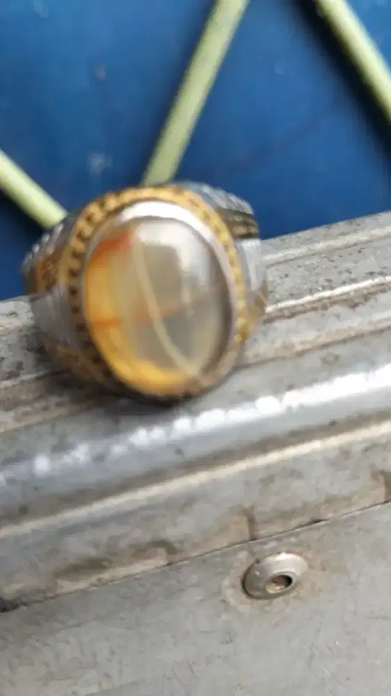 Batu akik sodo lanang tapak jalak