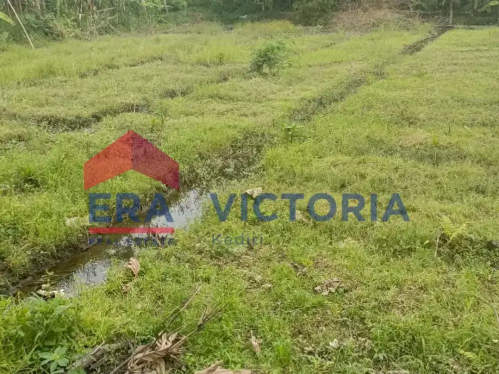 Dijual Tanah di Ds Sambirejo Kediri 6 menit ke RS Aura Syifa