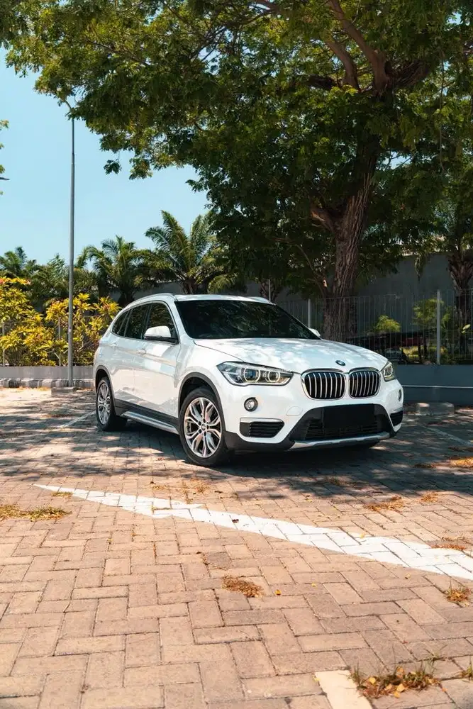 BMW X1 F48 panoramic sunroof