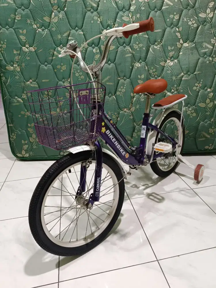 Jual sepeda anak 18