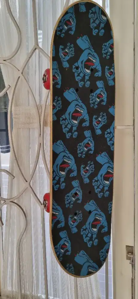 Skateboard santa cruz