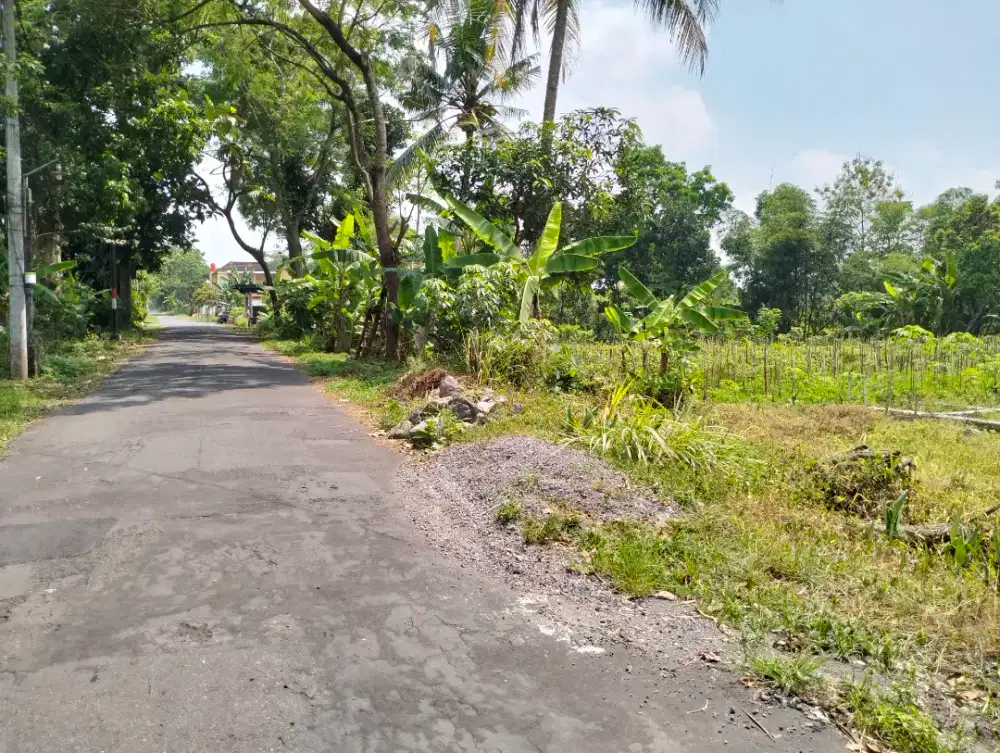 Dijual tanah shm pekarangan di manongsari Sardonoharjo jl Kaliurang 12