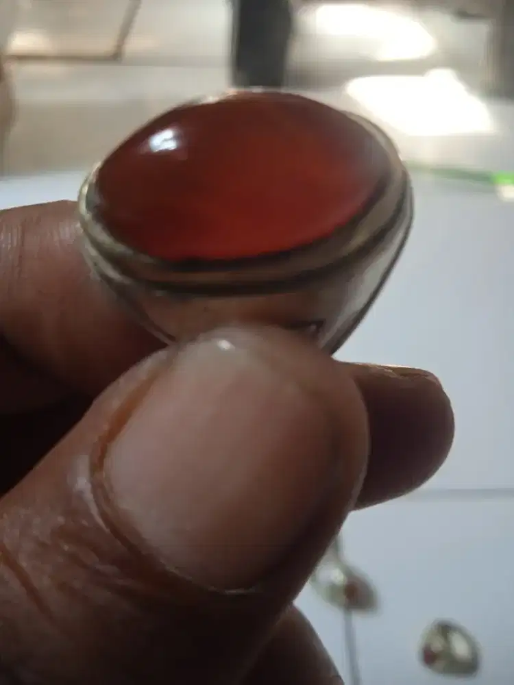 red raflesia/cempaka merah