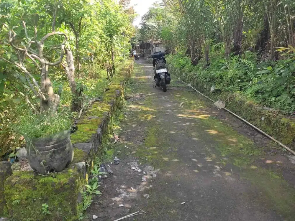 Dijual Tanah Pekarangan di Bangunrejo Tempel