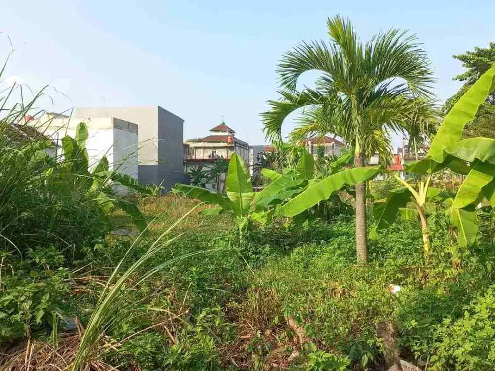 Tanah Tembalang Bulusan Utara Undip