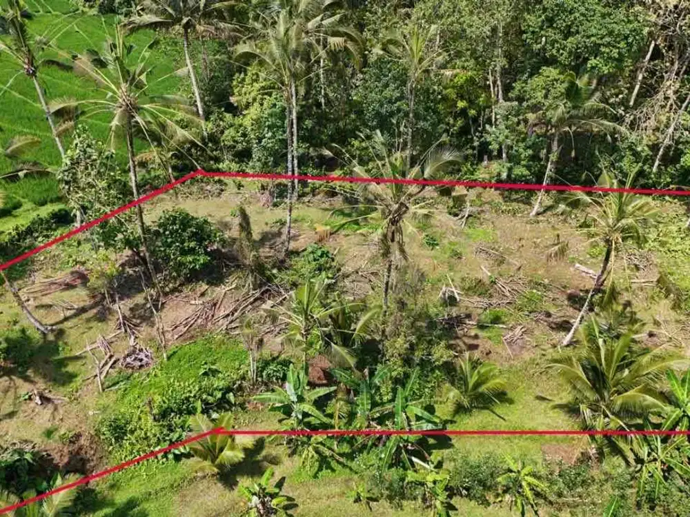 Di jual tanah dengan view sawah terasering