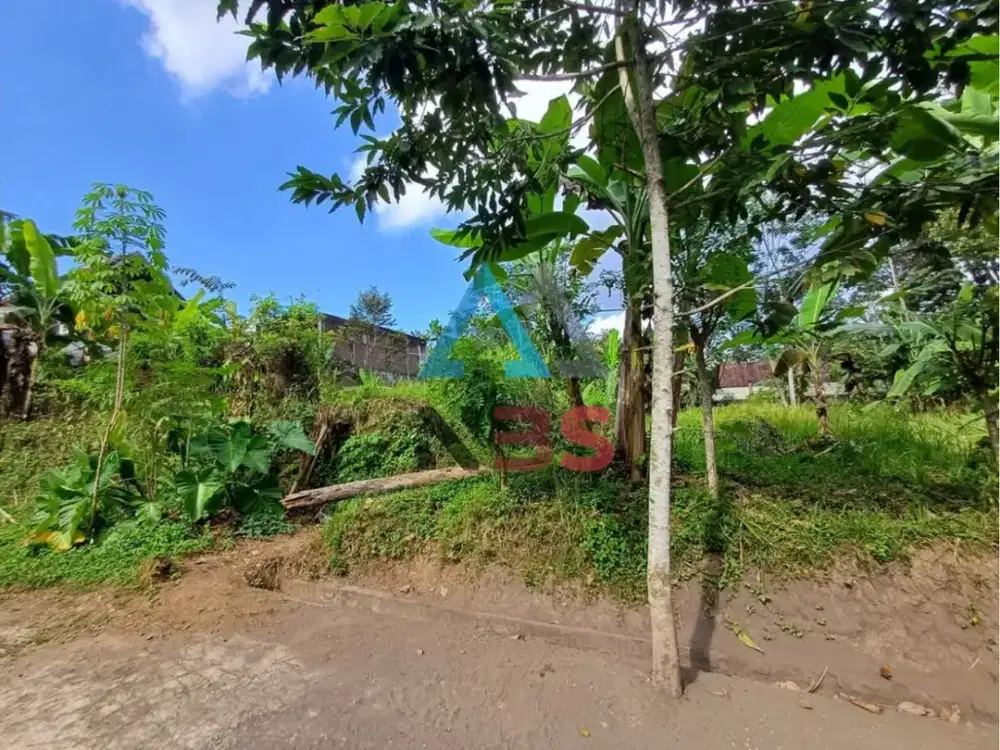 FOR SALE TANAH KAWASAN VILLA PEJENG KAJE 15 MENIT UBUD CETRAL