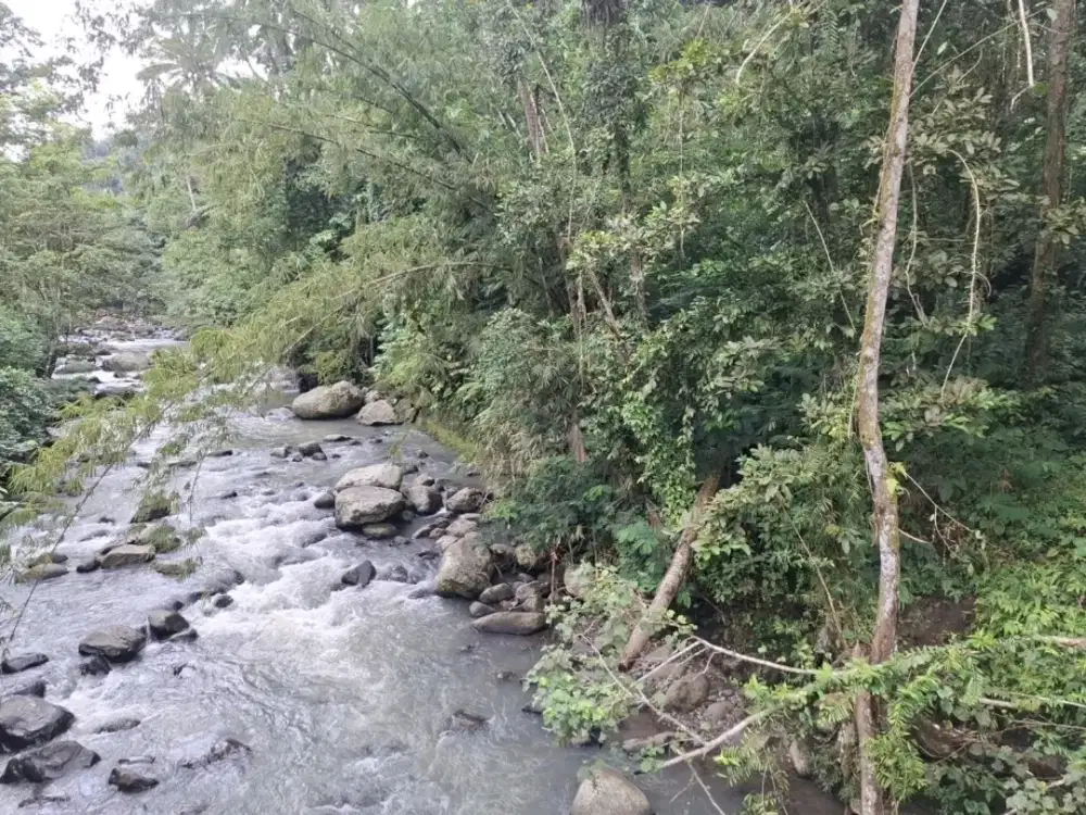 Dijual tanah los sungai luasan kecil didaerah pariwisata