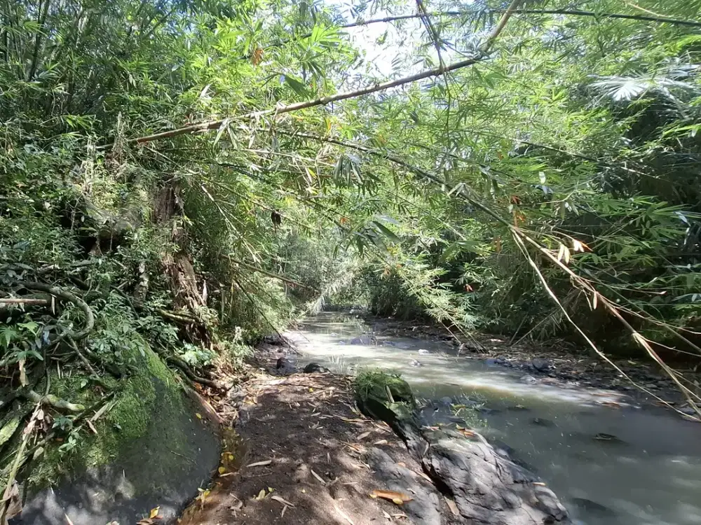 Dijual tanah los sungai dan view sawah