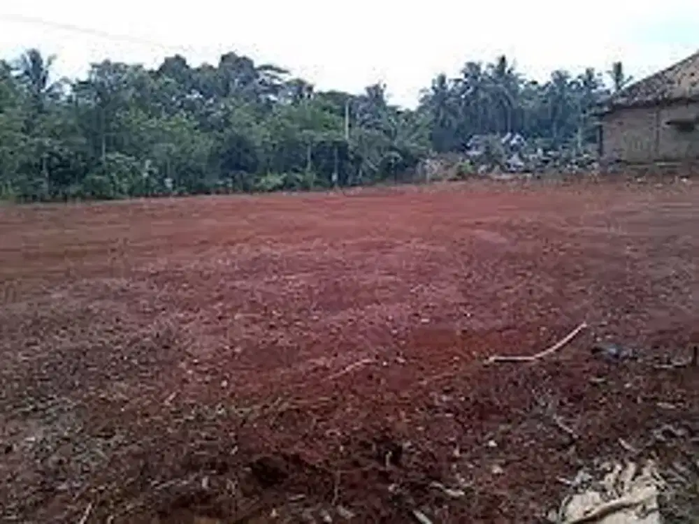 Tanah Strategis Nempel Jalan Babelan Bekasi