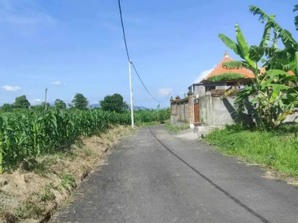 Tanah Kavling Kota Gianyar Dekat SMA Negeri 1 Gianyar
