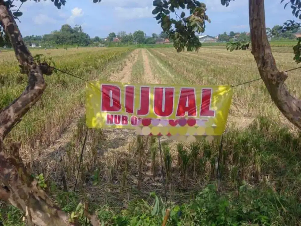 DIJUAL SAWAH DIBANTUL AKSES JALAN ASPAL BARAT KAMPUS ISI SEWON JK13227