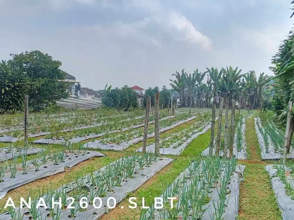 Dijual tanah luas matang pinggir jalan view keren dekat kota