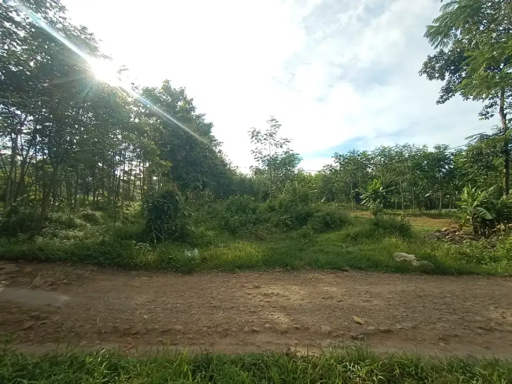 Tanah Strategis Dekat Pabrik Sepatu Bojong Pekalongan, Siap Bangun Kos