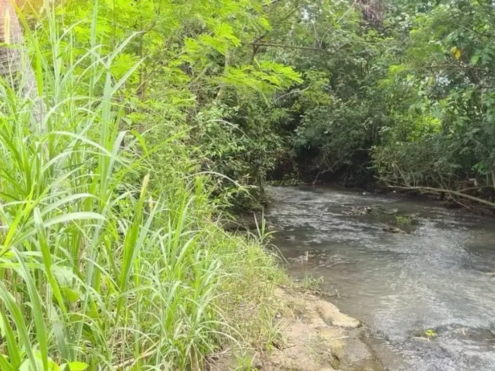 Tanah Murah kedungu tanah lot los sungai