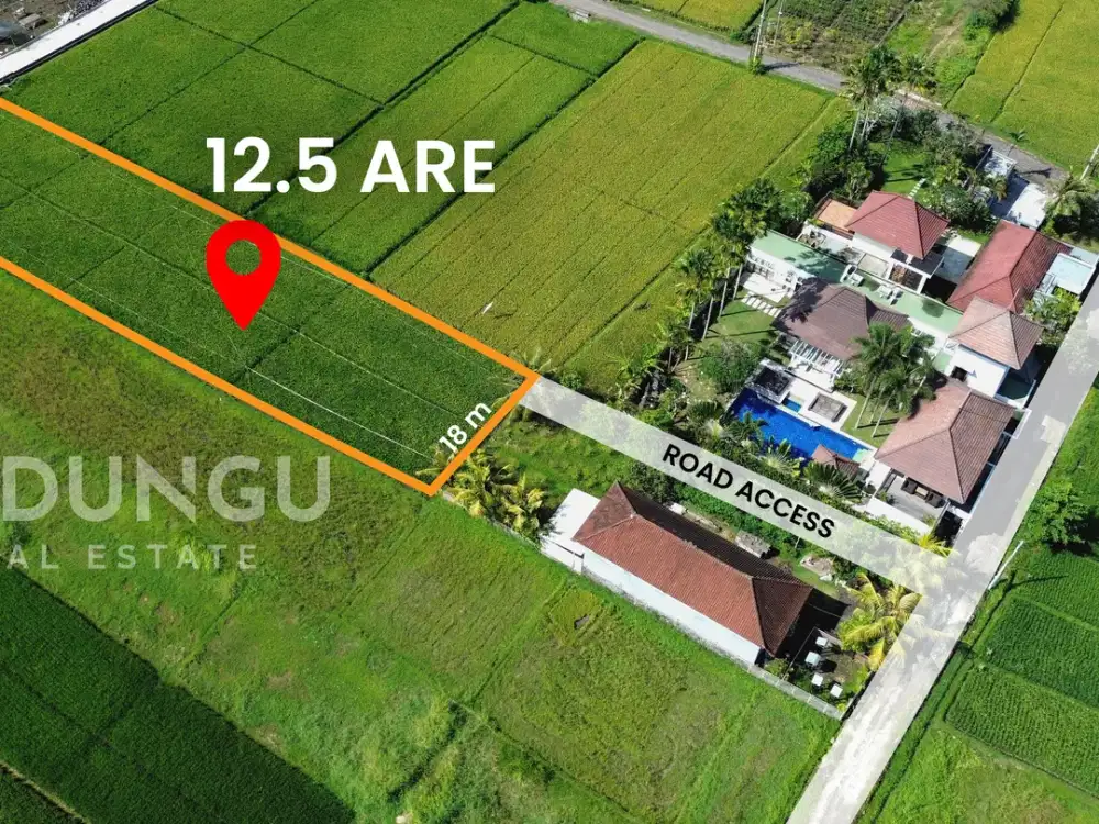 12.5 Are Leasehold Land for Villa or Retreat Development in Kedungu