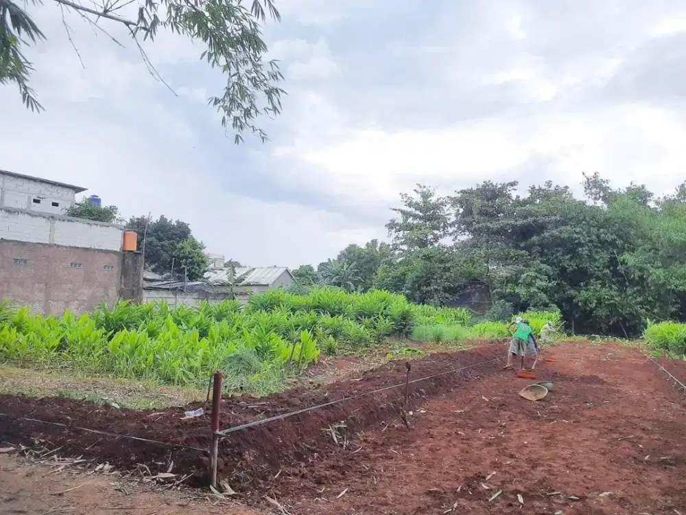 Profit 30 Pertahun, Kavling Investasi Hunian.