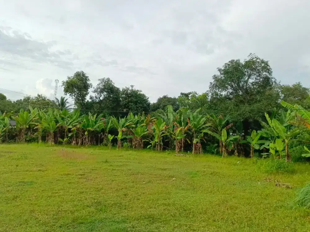 Fasum Jalan 5 Meter, Kavling SHM Cibarusah, Bekasi