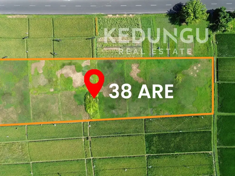 Freehold Land in Kedungu with Rice Field Views and close to the beach