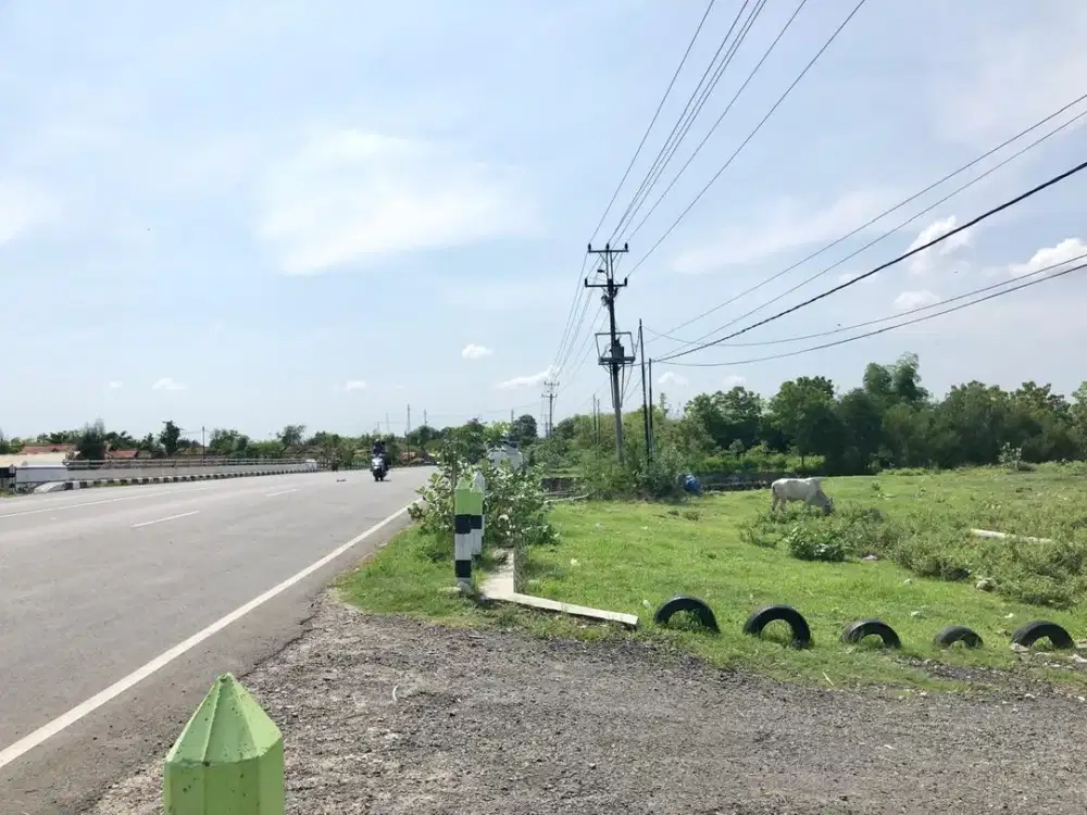 Dijual Cepat Tanah Luas 20 HA di Jalan Pantura Semarang-Surabaya