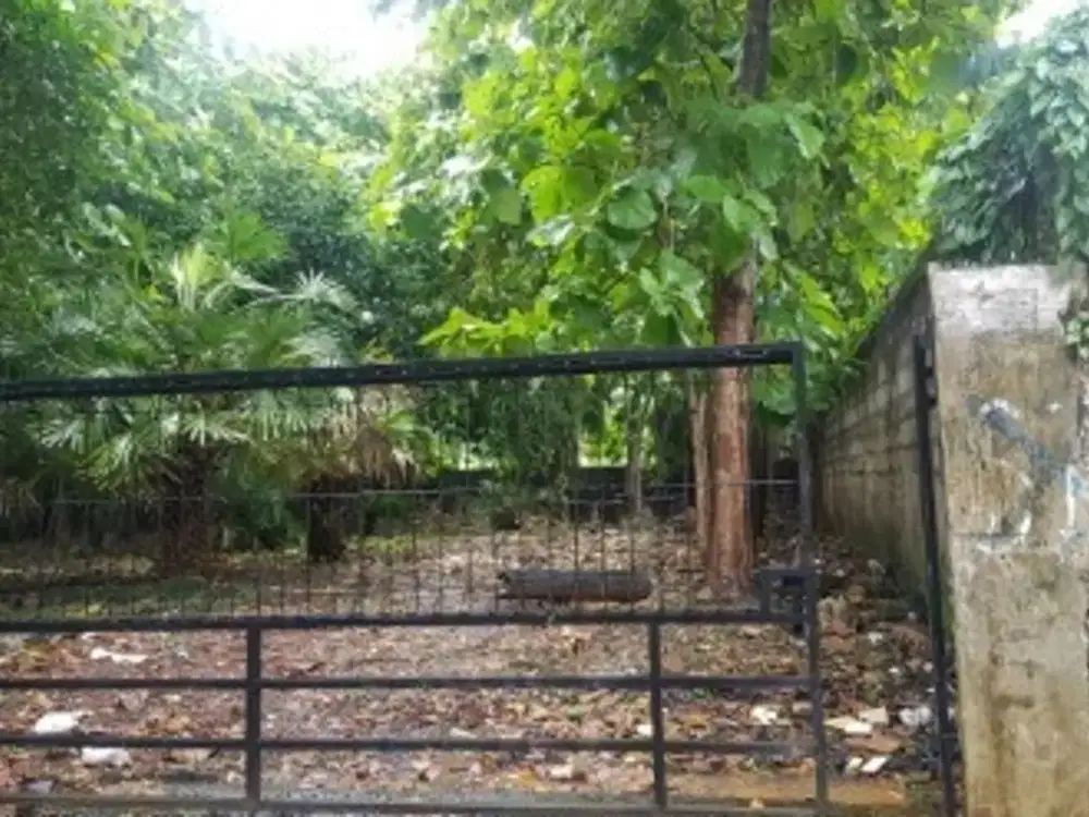 TANAH LAPANG DI LOKASI STRATEGIS JAKARTA SELATAN