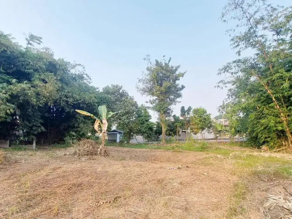 Investasi yang menguntungkan, Tanah Kavling Bisa Dicicil 12x Bunga 0%