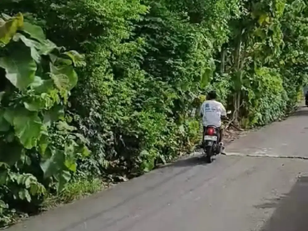 Tanah 20 Are dikawasan Villa, Ungasan