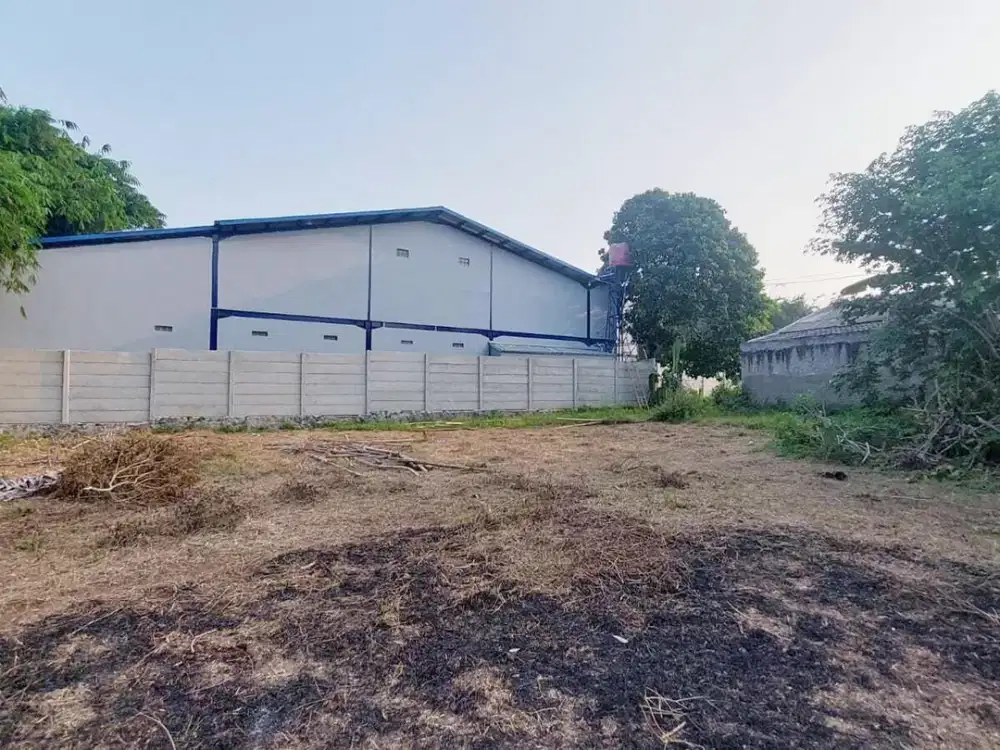 2 Jt-an Kavling SHM Area Cileungsi. Bisa Cicil 12x Tanpa Bunga