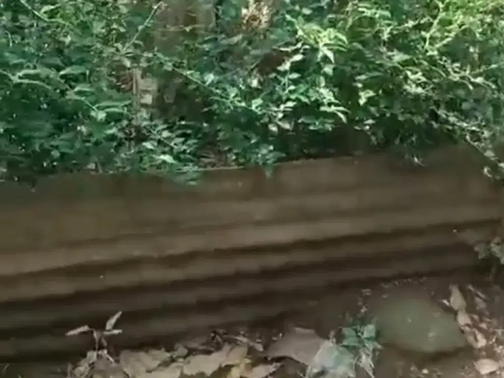 dijual tanah darat luas 250mt jlnasuk mobil koldisel