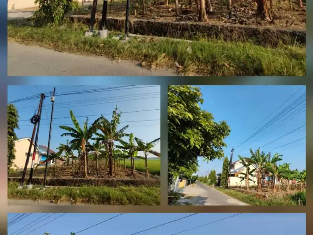 DIJUAL TANAH JL.SETO GUMILIR CILACAP 2 MUKA HARGA NEGO SAMBIL NGOPI